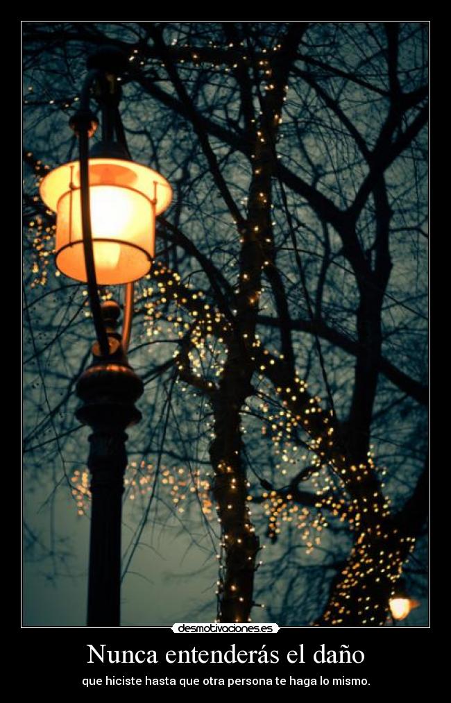 Nunca entenderás el daño - 