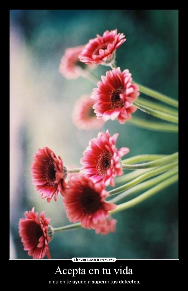 Acepta en tu vida - a quien te ayude a superar tus defectos.
