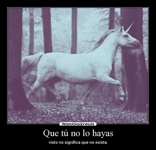 carteles lalala unicornios lalala wiii tengo unicornio chincha lalala desmotivaciones