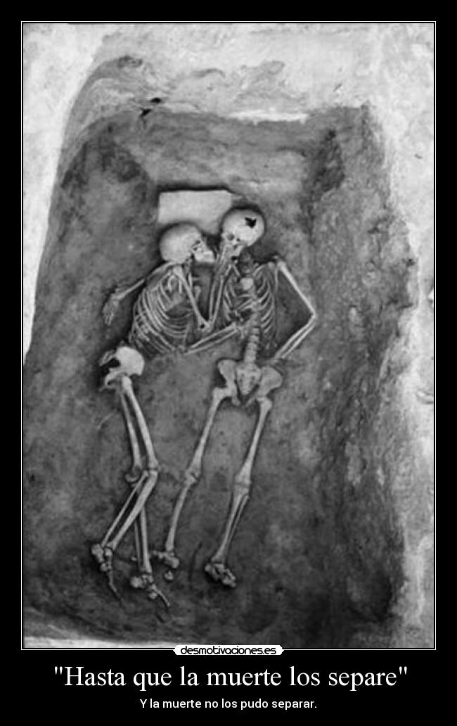 carteles muerte fernando1991 desmotivaciones