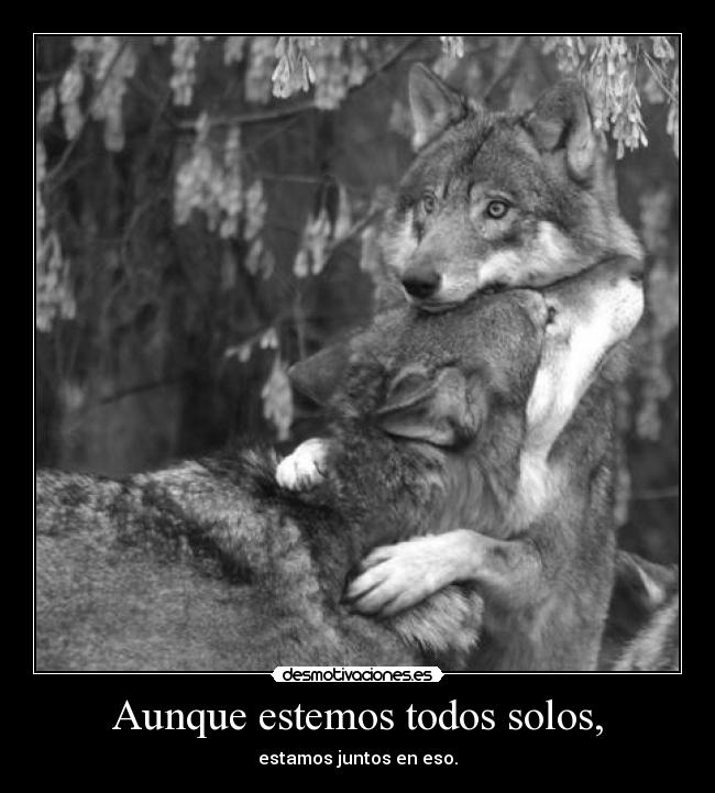 carteles soledad compartida desmotivaciones