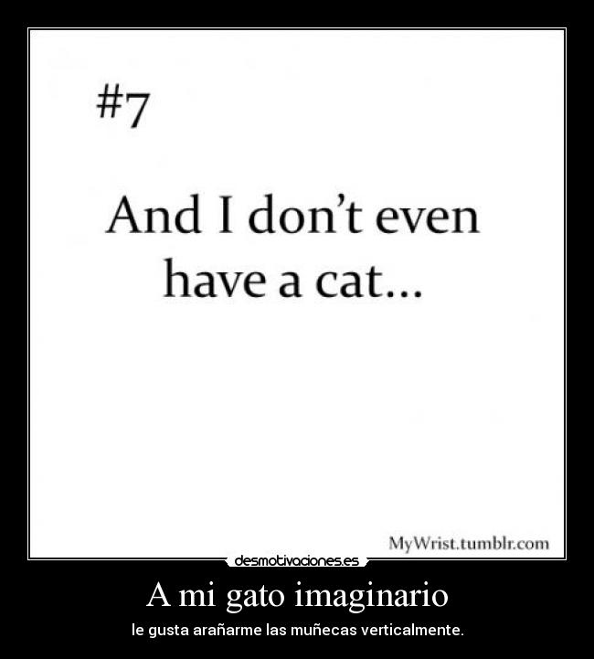A mi gato imaginario - 