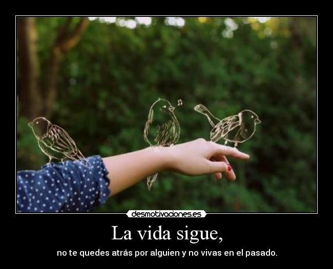 La vida sigue, -