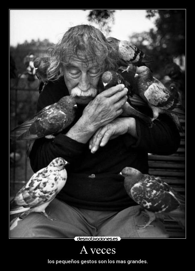 carteles oldman palomas banco parque tristeza swag rapeosingana moreswag desmotivaciones