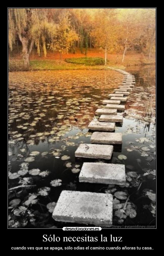 Sólo necesitas la luz - cuando ves que se apaga, sólo odias el camino cuando añoras tu casa..