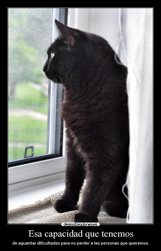 Esa capacidad que tenemos - 