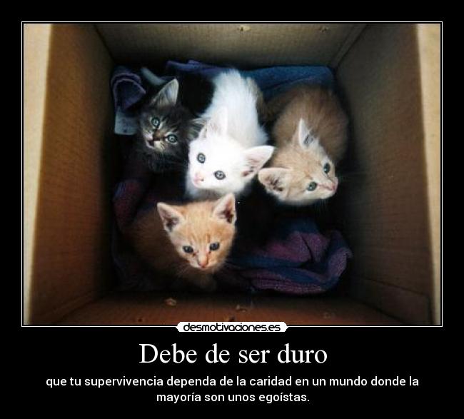 Debe de ser duro - 