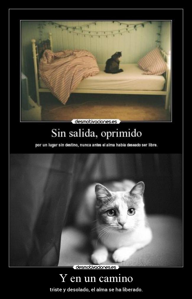 Y en un camino - triste y desolado, el alma se ha liberado.