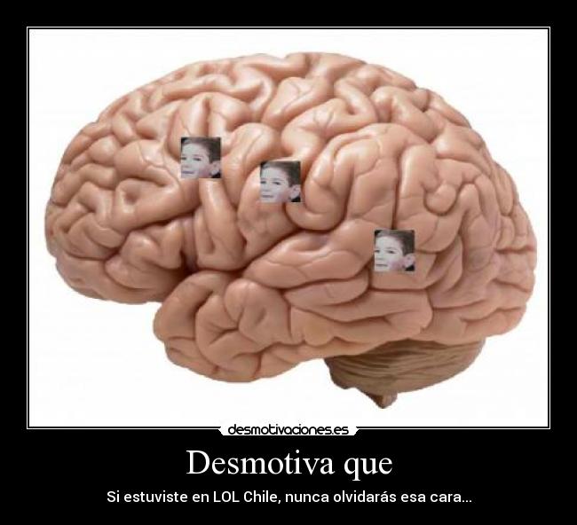 carteles tomas lol chile desmotivaciones