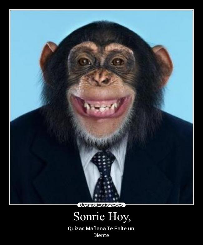 Sonrie Hoy, -