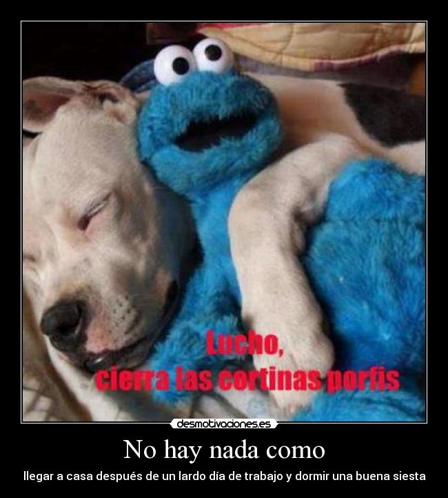 No hay nada como - llegar a casa después de un lardo día de trabajo y dormir una buena siesta