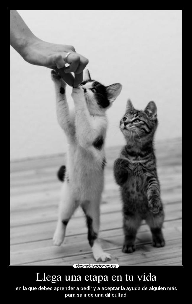 Llega una etapa en tu vida -