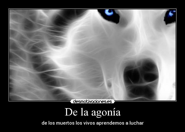 De la agonía - 