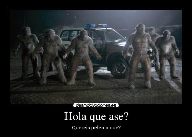 Hola que ase? - Quereis pelea o qué?