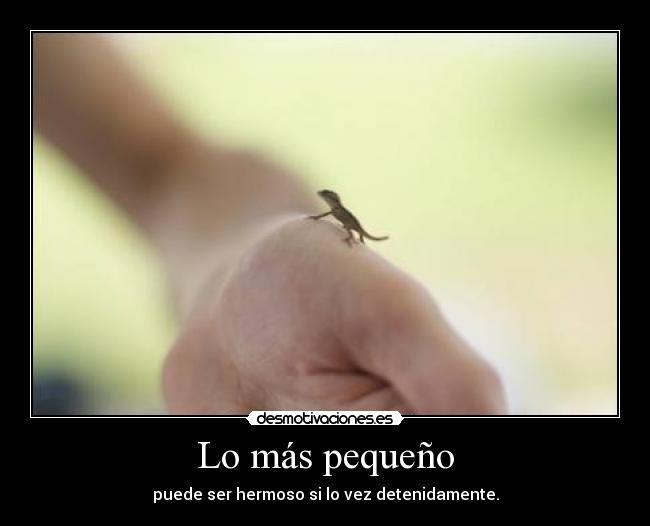 Lo más pequeño - puede ser hermoso si lo vez detenidamente.