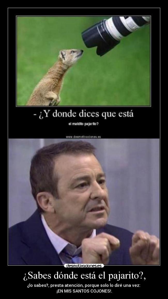¿Sabes dónde está el pajarito?, - ¿lo sabes?, presta atención, porque solo lo diré una vez: 
¡EN MIS SANTOS COJONES!.