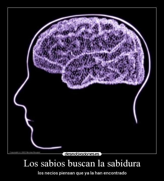 carteles necio desmotivaciones