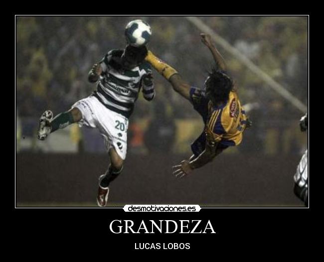 carteles lucas lobos tigres libres lokos uanl incomparables desmotivaciones