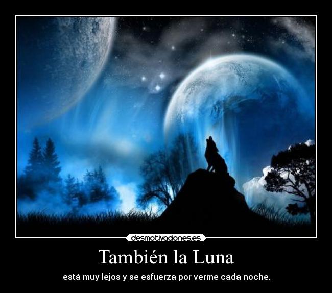 También la Luna - está muy lejos y se esfuerza por verme cada noche.