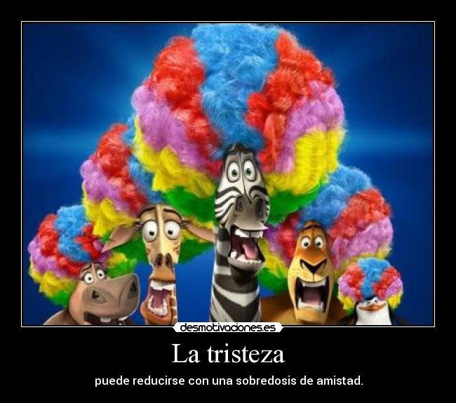 La tristeza - puede reducirse con una sobredosis de amistad.