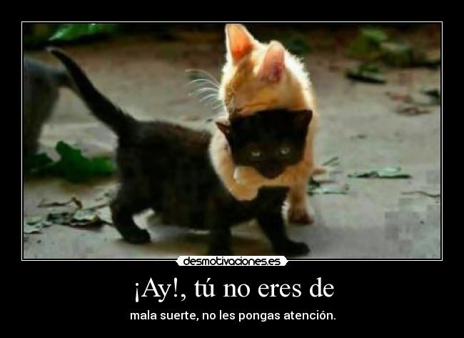 ¡Ay!, tú no eres de -