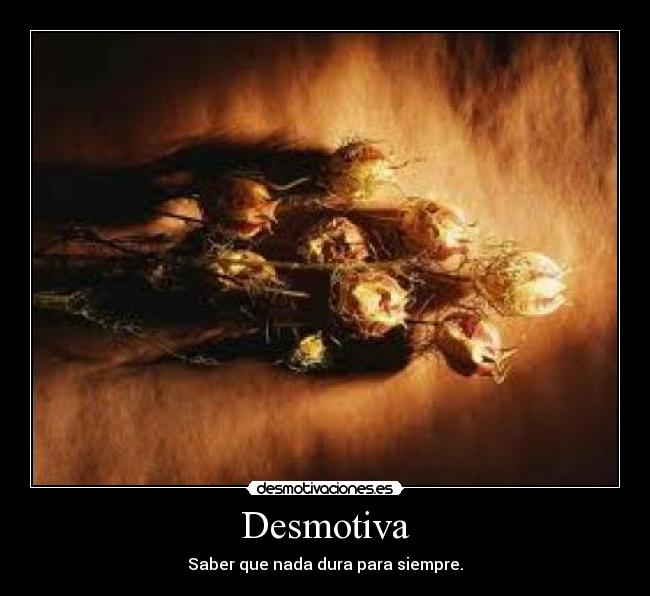 Desmotiva - Saber que nada dura para siempre.