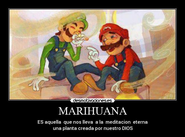 MARIHUANA - 