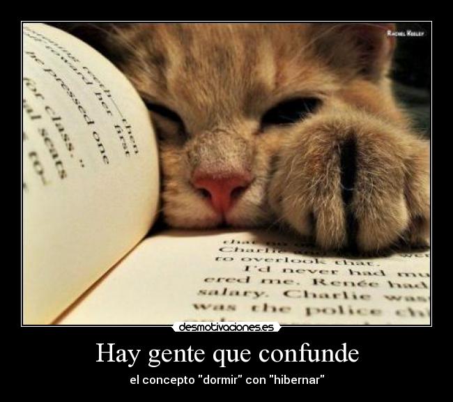 Hay gente que confunde - el concepto dormir con hibernar