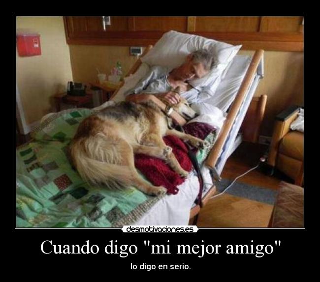 Cuando digo mi mejor amigo - lo digo en serio.