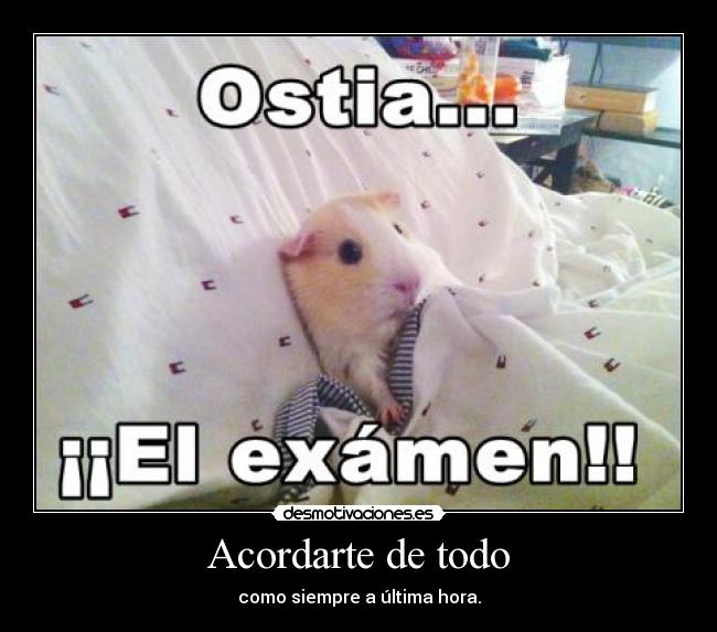 Acordarte de todo - 