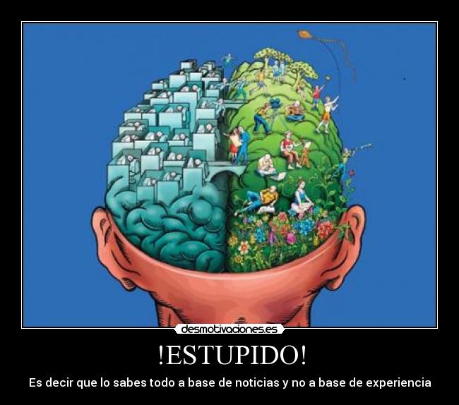 !ESTUPIDO! - Es decir que lo sabes todo a base de noticias y no a base de experiencia