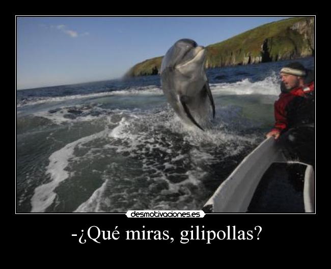 -¿Qué miras, gilipollas? -
