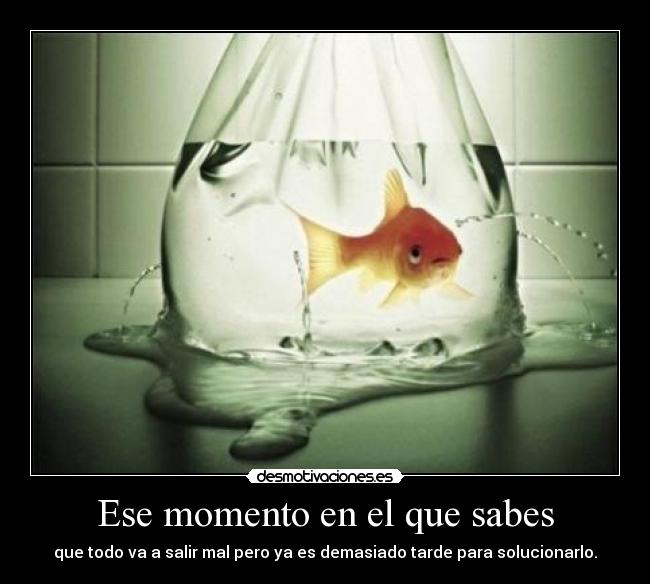 Ese momento en el que sabes - 