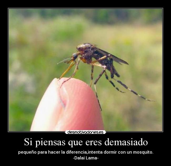 Si piensas que eres demasiado -