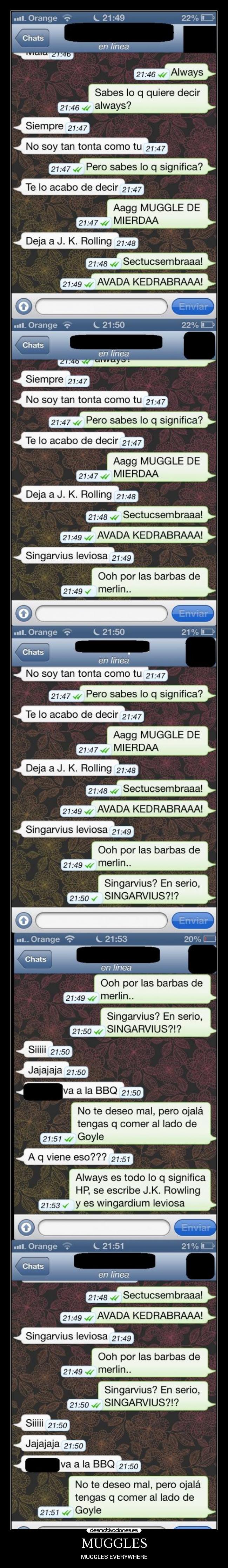 MUGGLES - MUGGLES EVERYWHERE