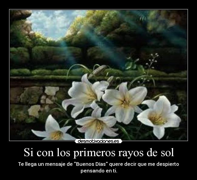 Si con los primeros rayos de sol - Te llega un mensaje de Buenos Días quere decir que me despierto pensando en ti.
