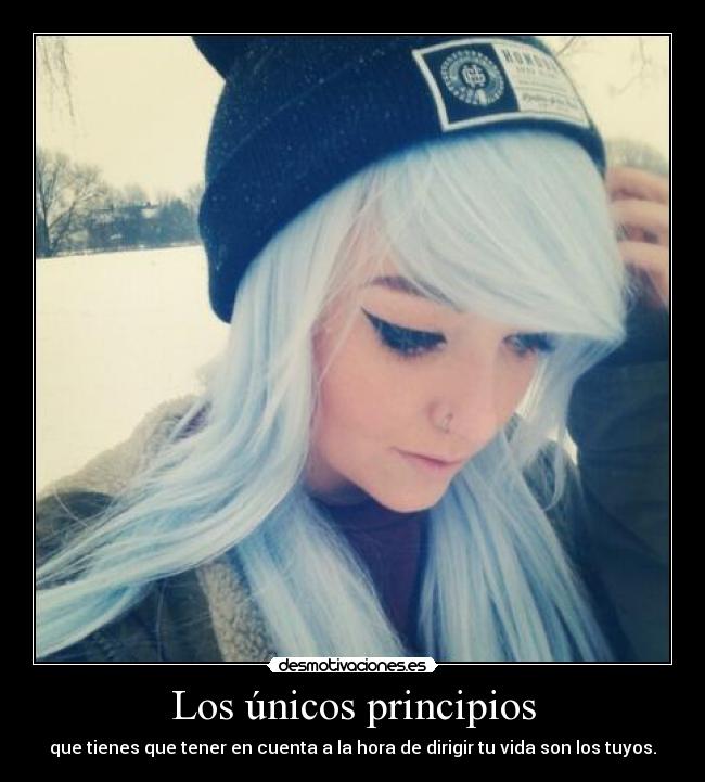 Los únicos principios -