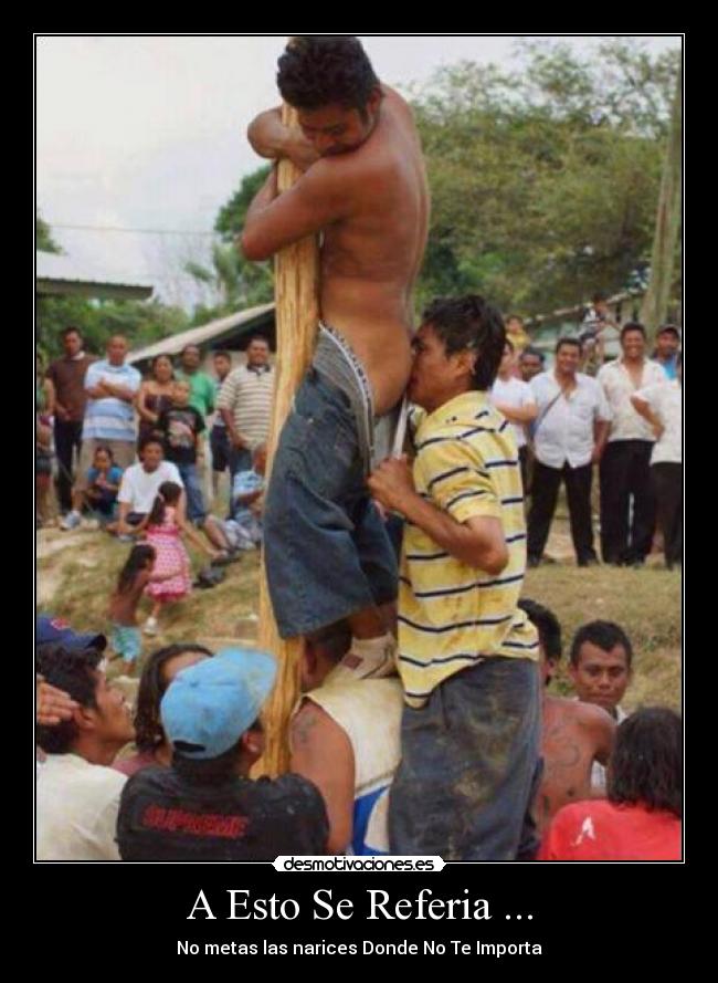 A Esto Se Referia ... - No metas las narices Donde No Te Importa