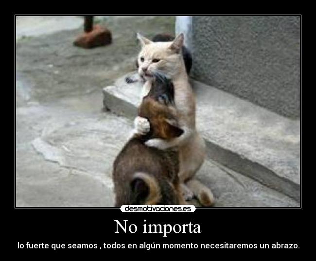 carteles abrazo desmotivaciones