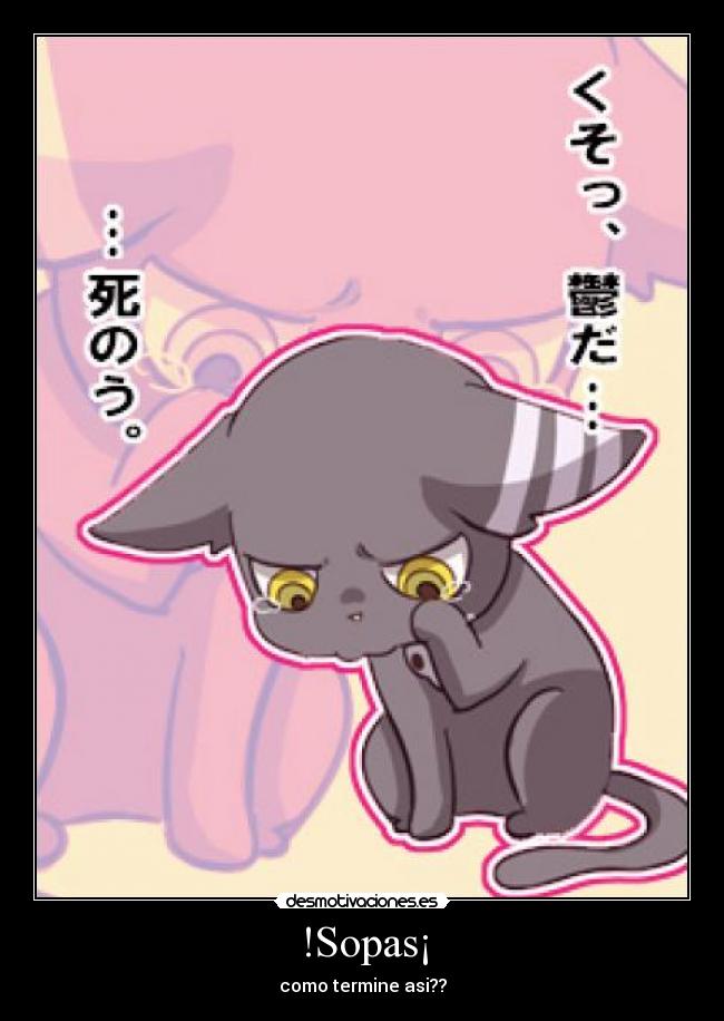!Sopas¡ - como termine asi??