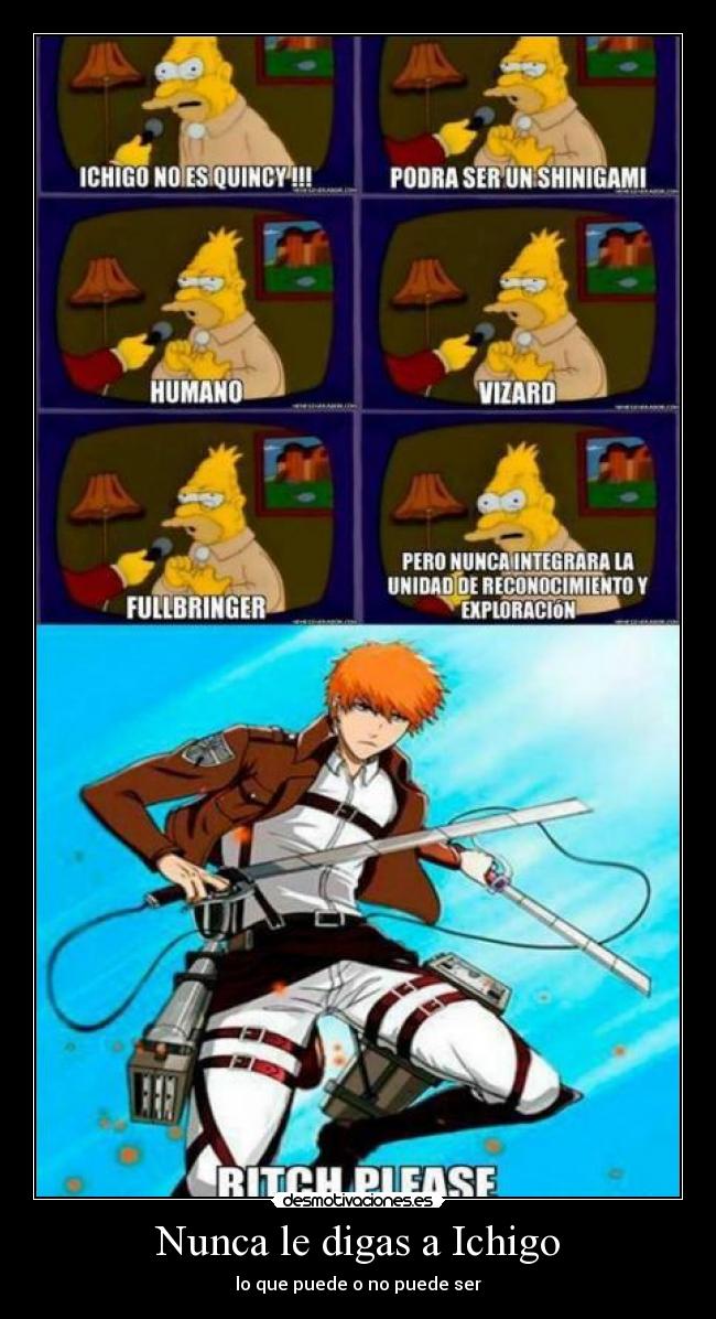 Nunca le digas a Ichigo -