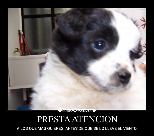 PRESTA ATENCION - A LOS QUE MAS QUIERES, ANTES DE QUE SE LO LLEVE EL VIENTO.