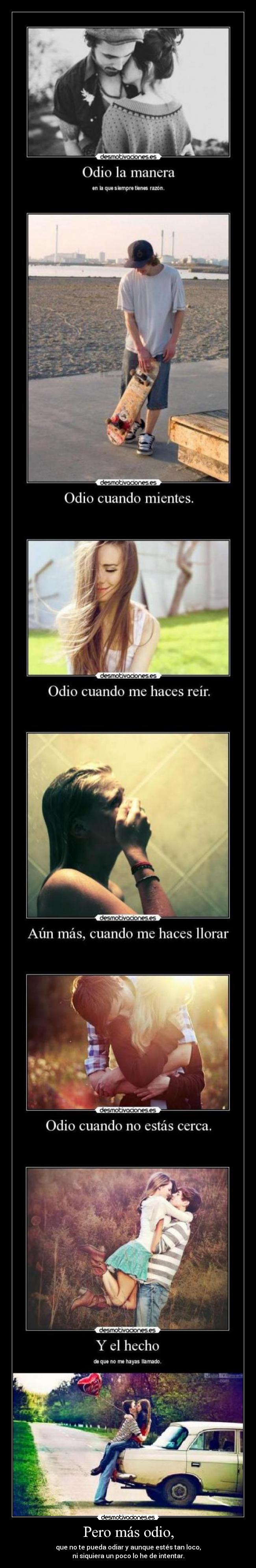 carteles odio odio amo por siempre dannaconsentida desmotivaciones