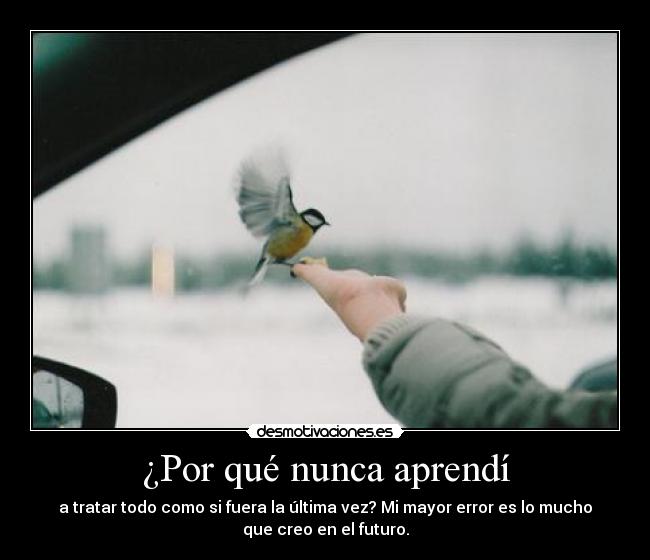 carteles futuro error desmotivaciones