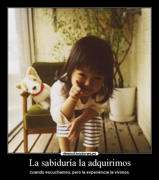 carteles sabiduria desmotivaciones