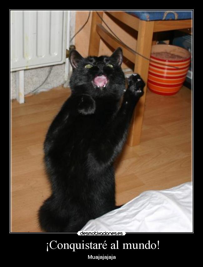 ¡Conquistaré al mundo! - Muajajajaja