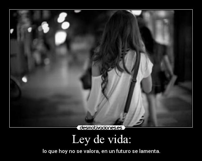Ley de vida: - lo que hoy no se valora, en un futuro se lamenta.