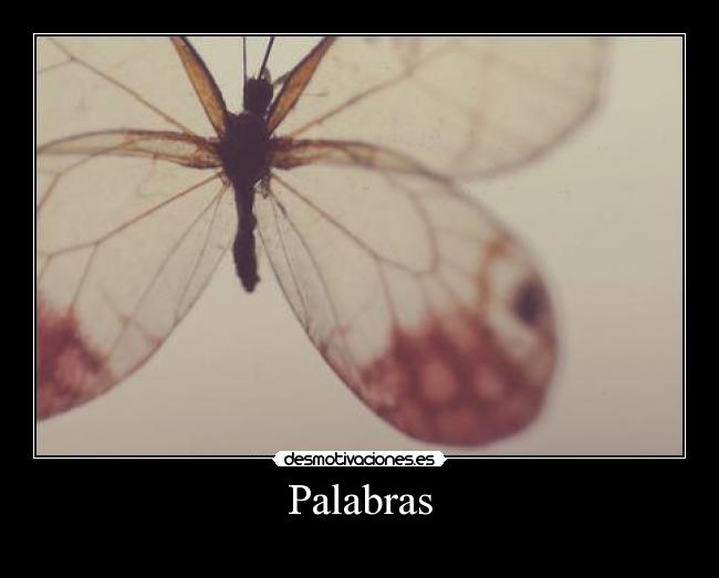 Palabras -