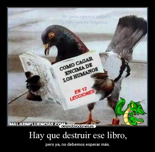 carteles vamos humanidad ayudadme nadie gusta que una maldita paloma cague desmotivaciones