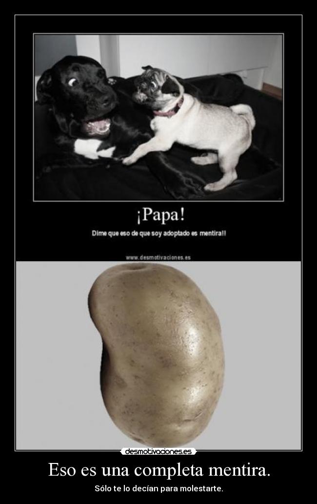 Eso es una completa mentira. - Sólo te lo decían para molestarte.